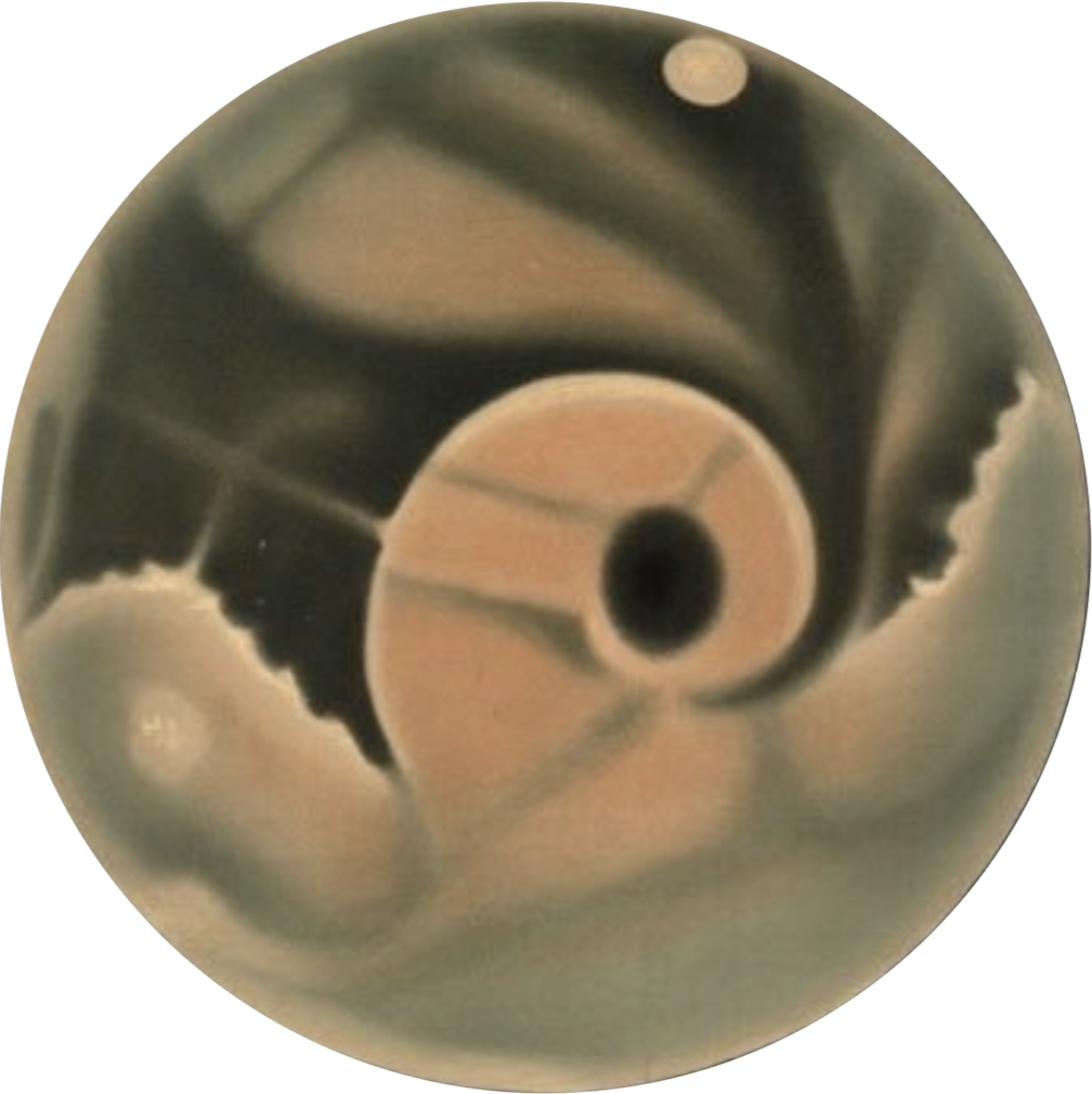 Palestra Society Sphere